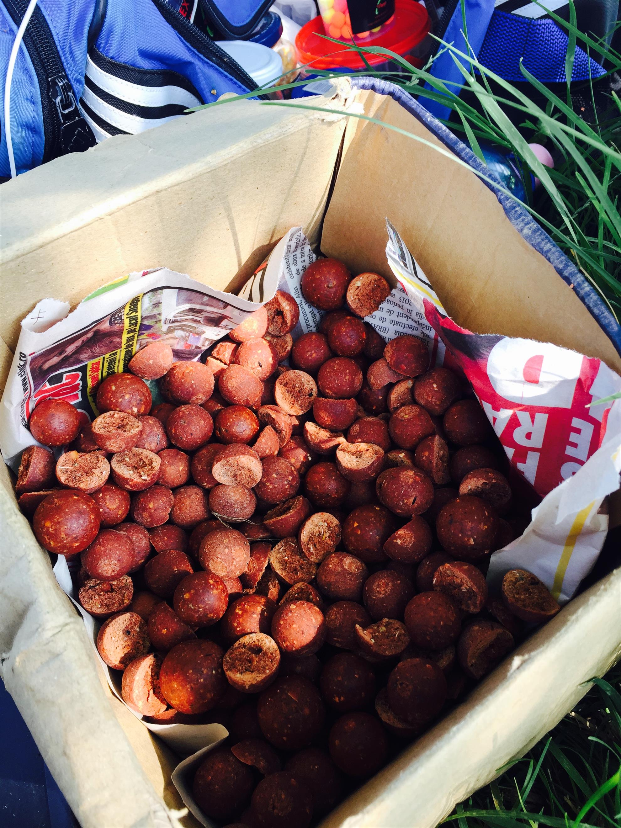 Moara Vlasiei 2 \26 - 28 iunie 2015 - fullsizerender4.jpg